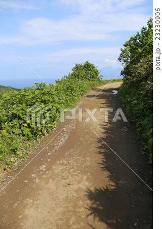 舗装された山道 23230906