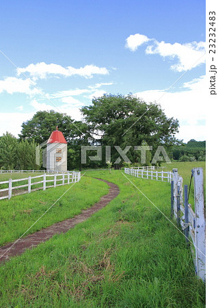 北海道の牧歌的風景　サイロと牧柵 23232483