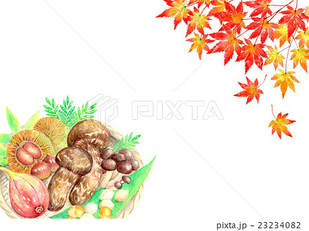 秋の味覚 紅葉背景のイラスト素材