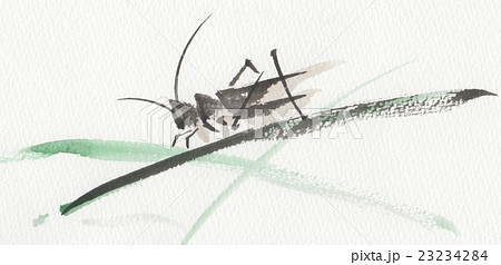 きりぎりすのイラスト素材