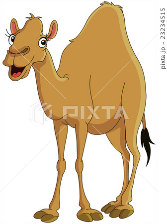 Camel 23234515