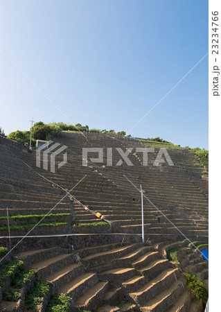 愛媛県宇和島市　遊子水荷浦の段畑 23234766
