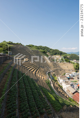 愛媛県宇和島市 遊子水荷浦の段畑 愛媛県宇和島市 遊子水荷浦の段畑 23234775