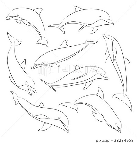Vector hand drawn set of dolphins Vector hand drawn set of dolphins 23234958
