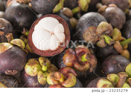 mangosteen 23235279