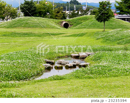 初夏の公園 23235394