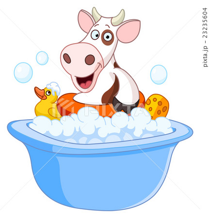 Cow taking a bath 23235604