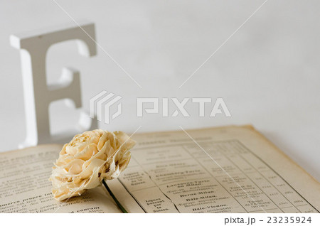 洋書とドライフラワー 23235924