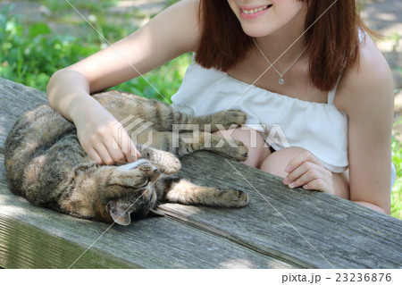 猫と戯れる女性の写真素材