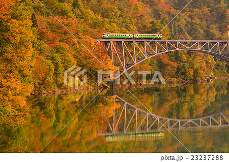 紅葉の只見線の写真素材