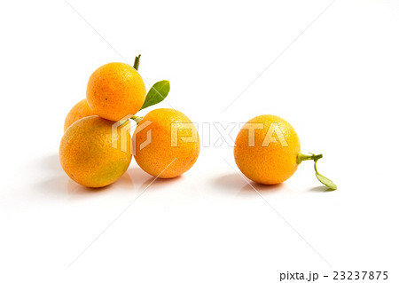 Orange Kumquat placed on white background 23237875