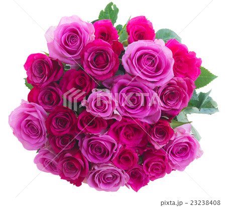 bouquet of fresh pink roses bouquet of fresh pink roses 23238408