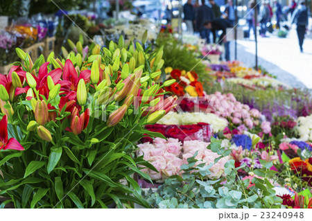 Market day with lots of spring flowers on sale. 23240948
