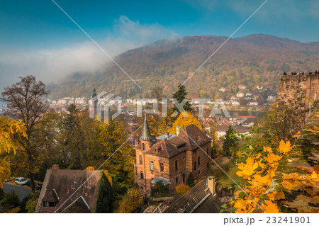 Town of Frankfurt Germany during autumn 23241901