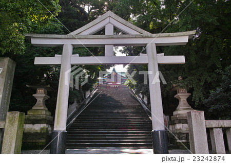 東京　日枝神社の山王鳥居 23242874