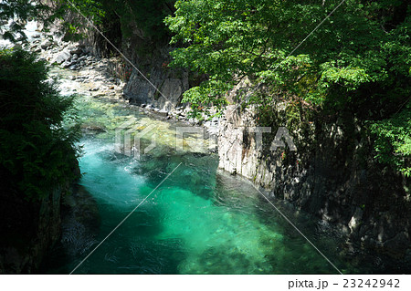 阿寺渓谷-犬帰りの淵(長野県大桑村) 阿寺渓谷-犬帰りの淵(長野県大桑村) 23242942