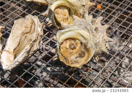 さざえと牡蠣 23243065