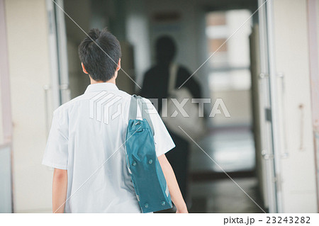 School life  23243282