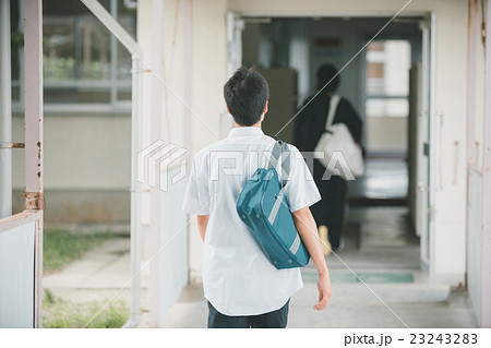 School life  23243283