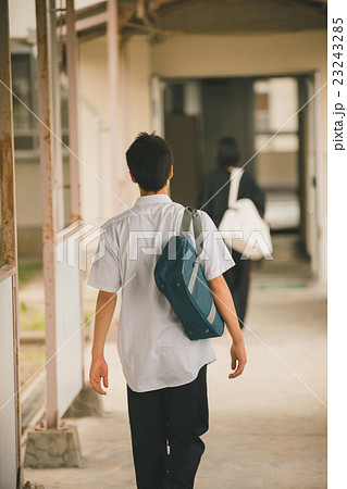 School life School life 23243285