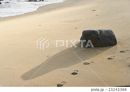 屋久島　海岸b 23243366