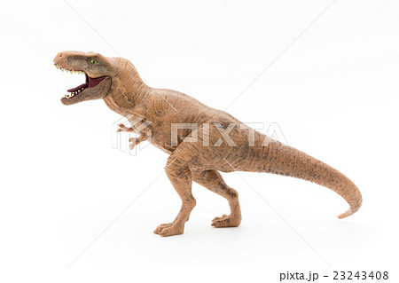 ティラノサウルス:T-Rex 23243408