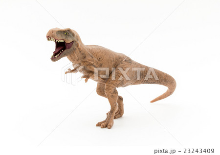ティラノサウルス:T-Rex 23243409