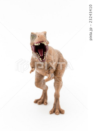 ティラノサウルス:T-Rex 23243410