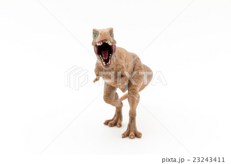 ティラノサウルス:T-Rex 23243411