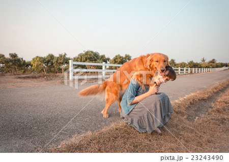 Beautiful woman with a cute golden retriever dog Beautiful woman with a cute golden retriever dog 23243490
