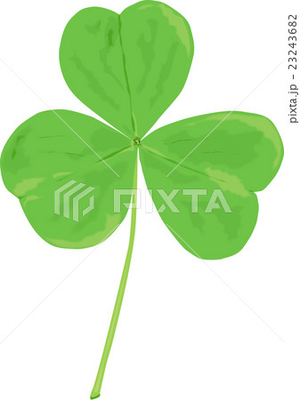 3ッ葉のクローバー 23243682