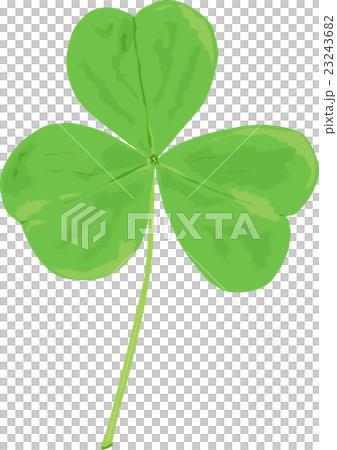 3ッ葉のクローバー 23243682