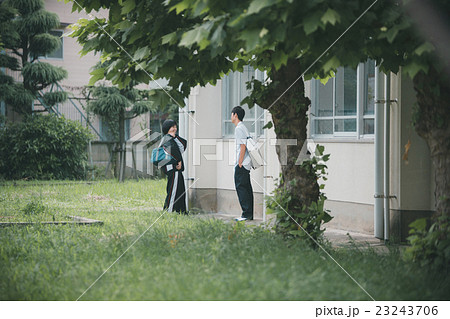 School life School life 23243706