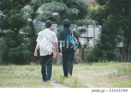 School life  23243794