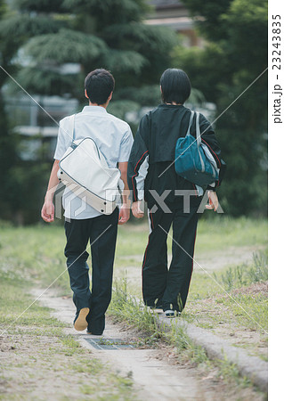 School life  23243835