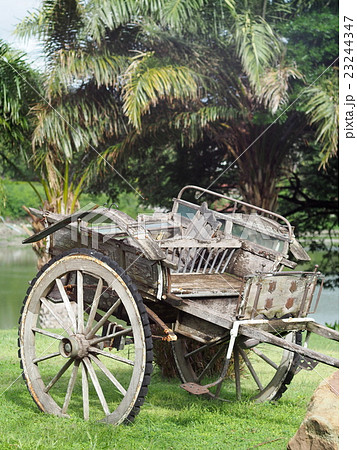 vintage retro style used wood metal cart on green 23244347