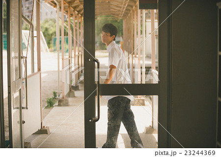 School life  23244369