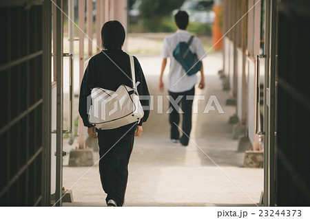 School life School life 23244373