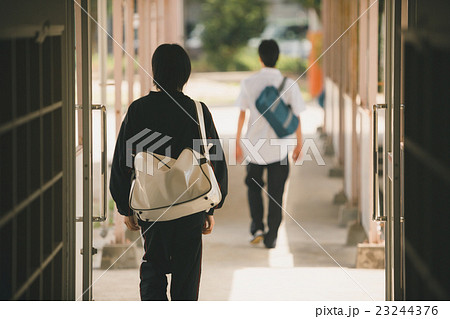 School life  23244376