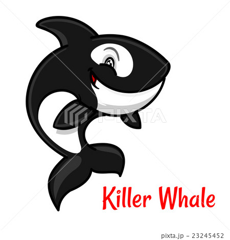 Cartoon black and white killer whale or orca 23245452