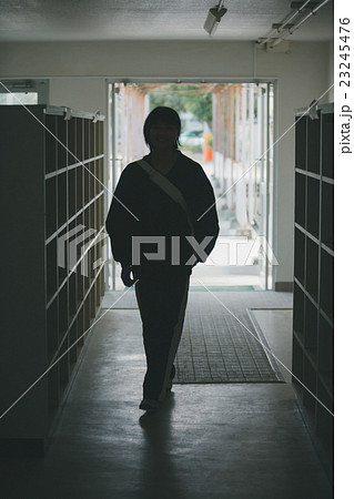 School life School life 23245476