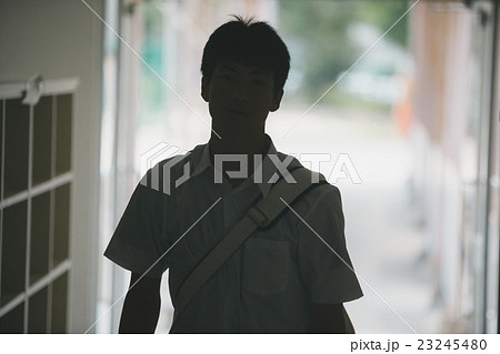 School life School life 23245480