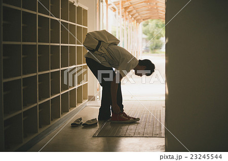 School life  23245544