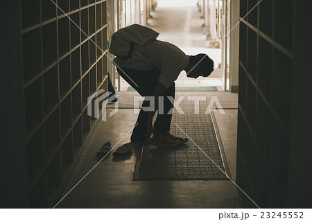 School life  23245552