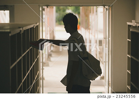 School life  23245556