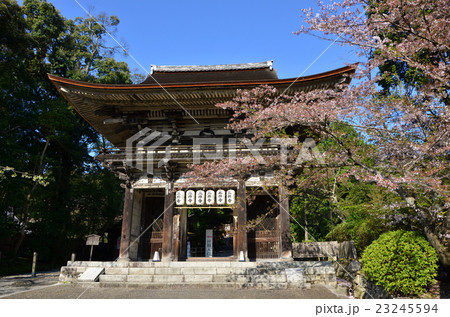三井寺 仁王門(2016.4) 三井寺 仁王門(2016.4) 23245594