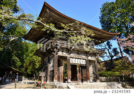 三井寺 仁王門(2016.4) 三井寺 仁王門(2016.4) 23245595