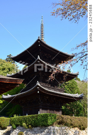 三井寺　三重塔（2016.4） 23245688