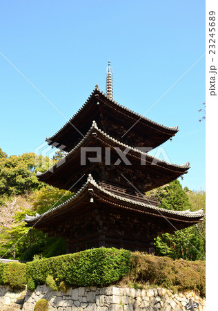 三井寺　三重塔（2016.4） 23245689