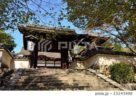 三井寺　四脚門（2016.4） 23245996